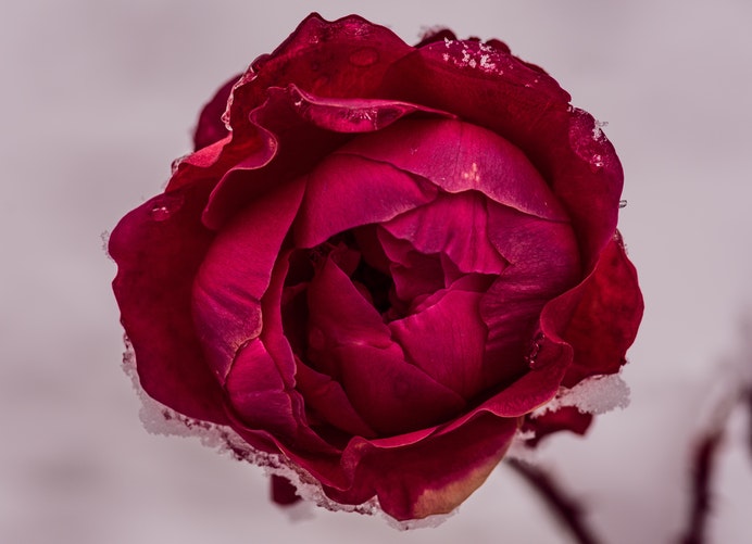 irregular menstruation